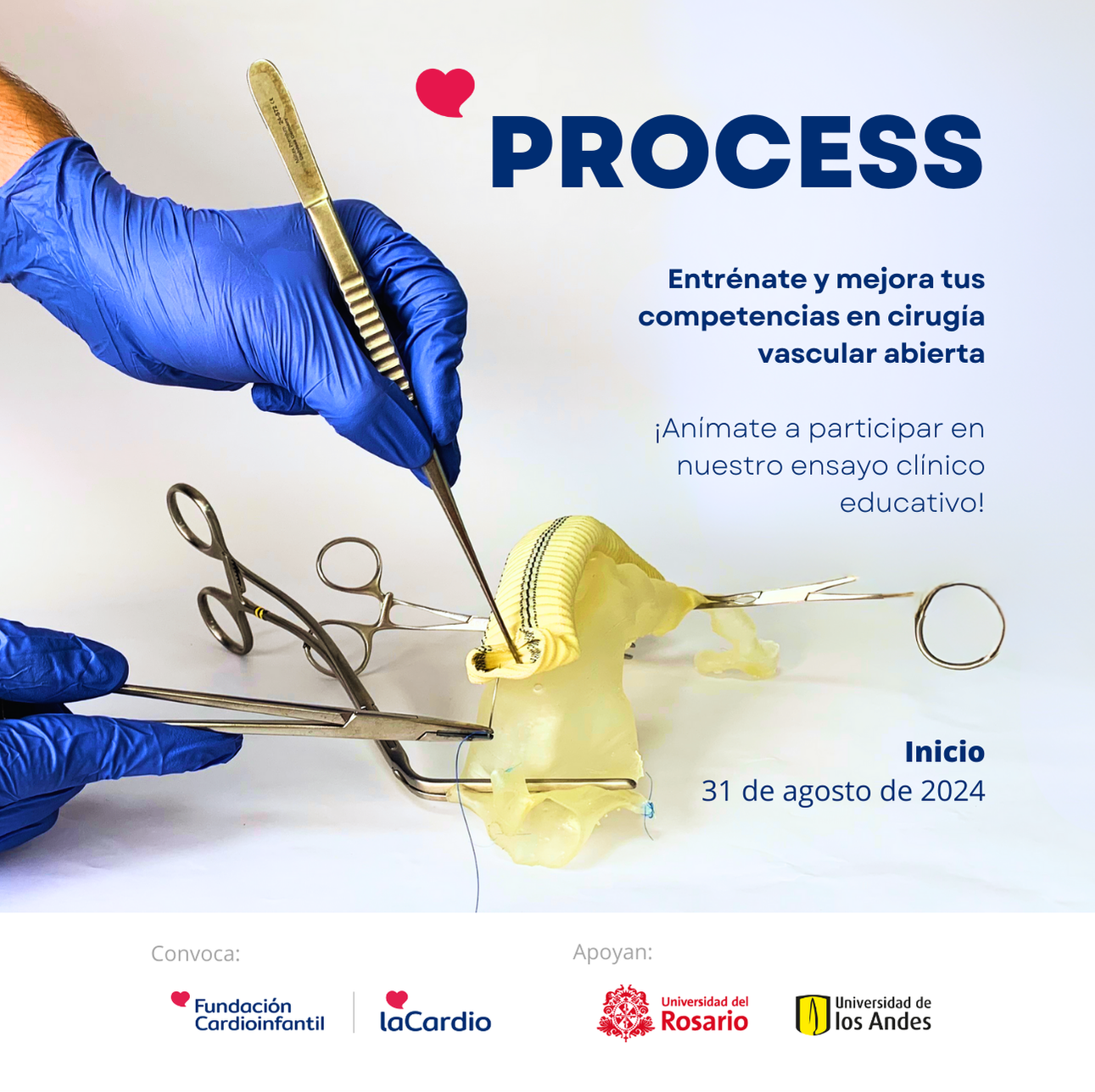 CURSO PROCESS: Programa de formación en cirugía basado en simulación estructurado progresivo: cirugía vascular abierta