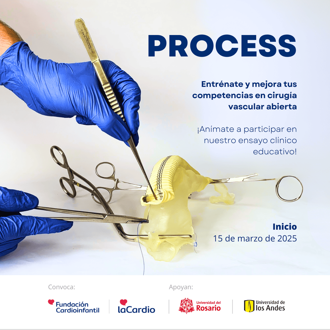 CURSO PROCESS: Programa de formación en cirugía basado en simulación estructurado progresivo: cirugía vascular abierta